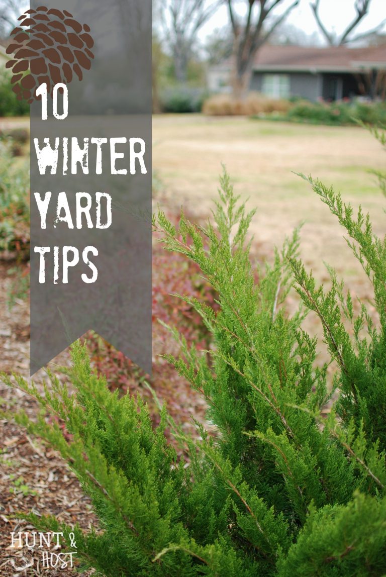 10 winter yard tips