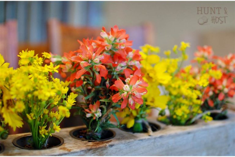 how to arrange free flowers