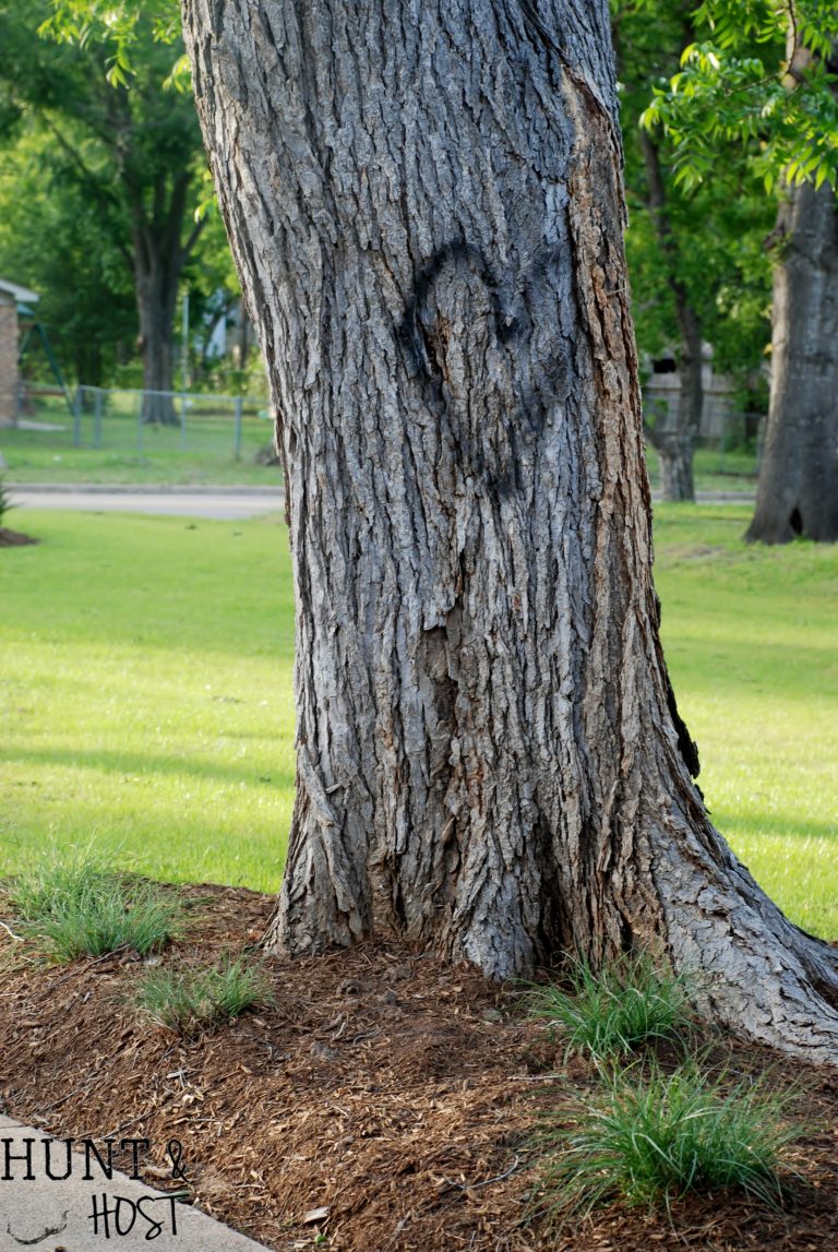 thankful heart tree