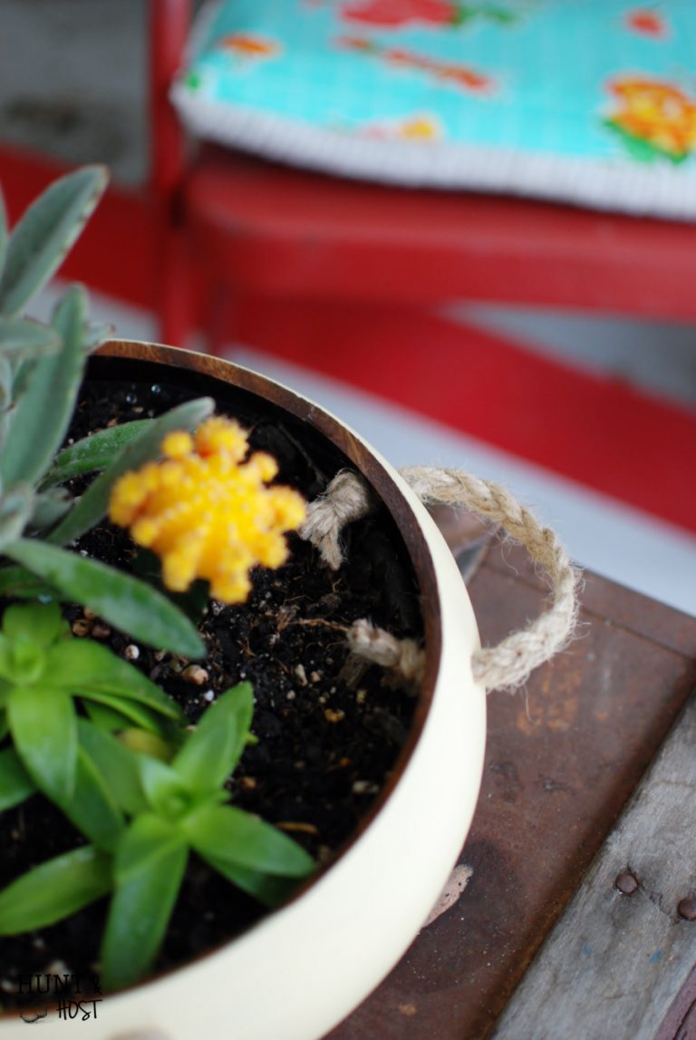 wooden salad bowl succulent planter