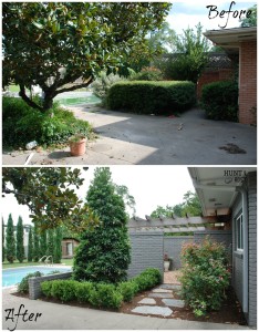 Back Yard before and after pool