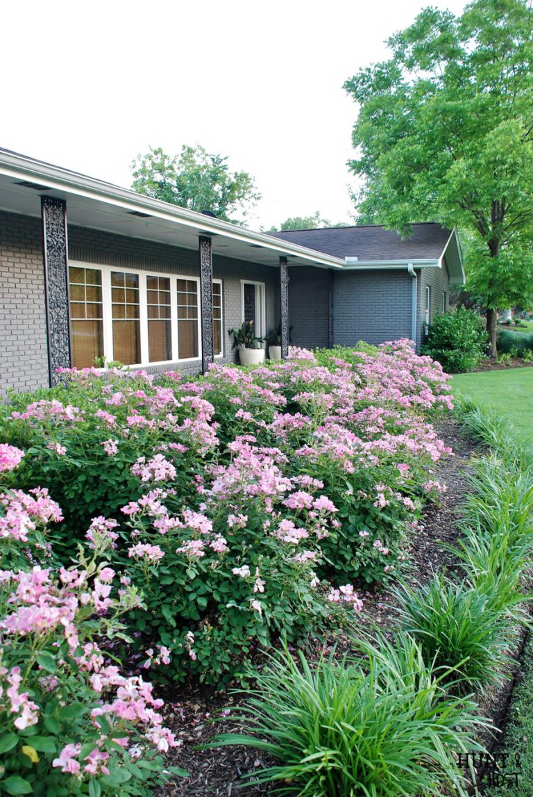 front yard curb appeal home tour