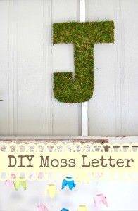 DIY moss letter tutorial