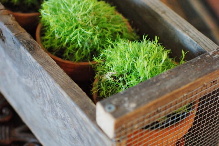 Magnolia Market inspired farmhouse crate DIY tutorial. Get Fixer Upper style on the cheap!