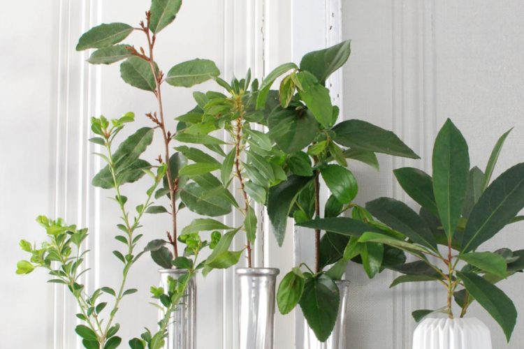 Want to get some Fixer Upper style for your Spring décor? Here is a Magnolia Market inspired project that you can't buy to round out the look! It's farm fresh.