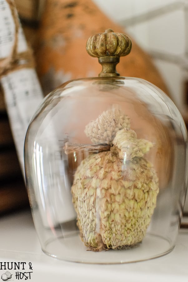 A simple homemade cloche. This mini glass cloche takes seconds to make but gives lasting decorating impact!