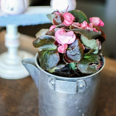 Thrifted Planters For Spring