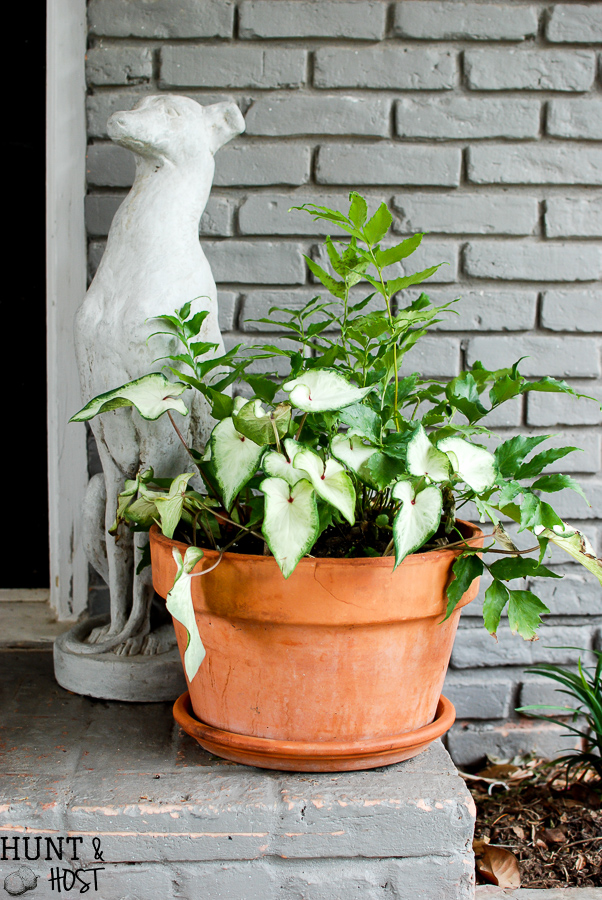 6 tips for successful container gardening. Want your patio to look straight out of a magazine? These tips will have you fixed up with realistic outcomes for your potted plants in no time!
