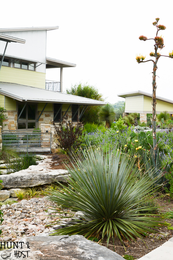 Visit the garden of a sleek rustic modern home with breathtaking views around every corner, agave and native vegetation, infinity pool and pecan orchard all overlook the Brazos River in the distance.