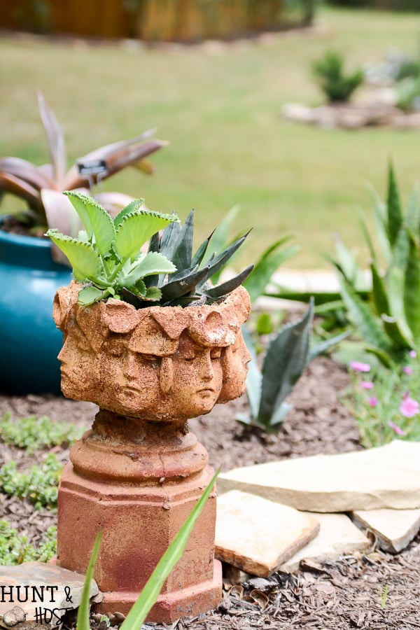 Master Gardener Home Garden Tour: Walk through this homeowner completed ladscape filled with salvaged planters, upcycled accents, creative flower bed borders, inventive erosion control, bee hives and curb side bird baths.