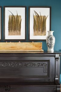 DIY Pheasant feather art tutorial. This easy DIY art tutorial will provide you with elegant artwork for your home with a budget friendly price!