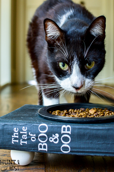 This is the cutest cat food bowl made from an old book, full tutorial for a smarty cat food dish.