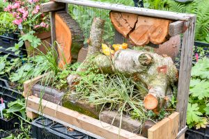 Take your fairy garden vertical with this natural fairy garden setting, complete with an actual fairy garden and swimming hole. This fun summer project to do with the kids will get your creativity going and green thumb working. Make a mini fairy garden for your house or porch with these precious fairy supplies and easy miniature ideas!