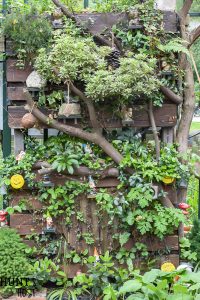 Take your fairy garden vertical with this natural fairy garden setting, complete with an actual fairy garden and swimming hole. This fun summer project to do with the kids will get your creativity going and green thumb working. Make a mini fairy garden for your house or porch with these precious fairy supplies and easy miniature ideas!