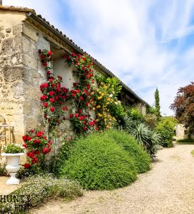 Visit the french countryside through pictures of this rustic trip in Southern France. A stunning French Chateau serves as the backdrop of an off the beaten path vacation of a lifetime!