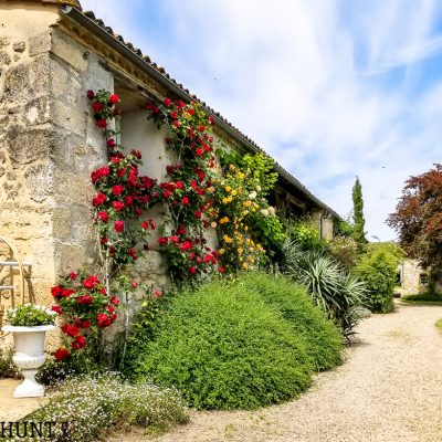 A Trip Through The French Countryside