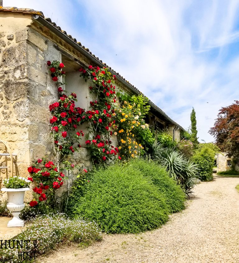Visit the french countryside through pictures of this rustic trip in Southern France. A stunning French Chateau serves as the backdrop of an off the beaten path vacation of a lifetime!