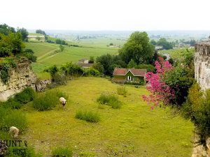 Planning a trip to France, add these french excursions to your vacation itenerary. Visit Saint Emilion and Perigueux for a fun and gorgeous French adventure. #travelFrance #perigueux #saintEmilion #FrenchCountry #Frenchvacation