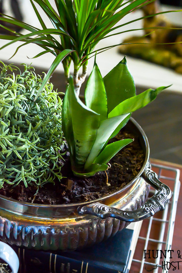 Adding vintage items to your coffee table décor is the perfect way to add age and interest to your living room. WIth these coffee table styling tips you will have your tabletop vignette rocking a vintage vibe in no time! #vintagestyle #frenchcountrycottage #frenchcountryliving #tarnishedsilver #succulentlove #clochedecor