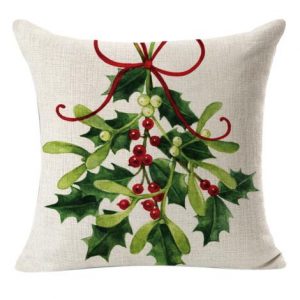 This sweet mistletoe pillow is perfect for your farmhouse Christmas decorating! order now and use code PillowLove for 15% off! #christmaspillow #mistletoe #farmhouseChristmas #frenchcountrypillow #farmhousedecor