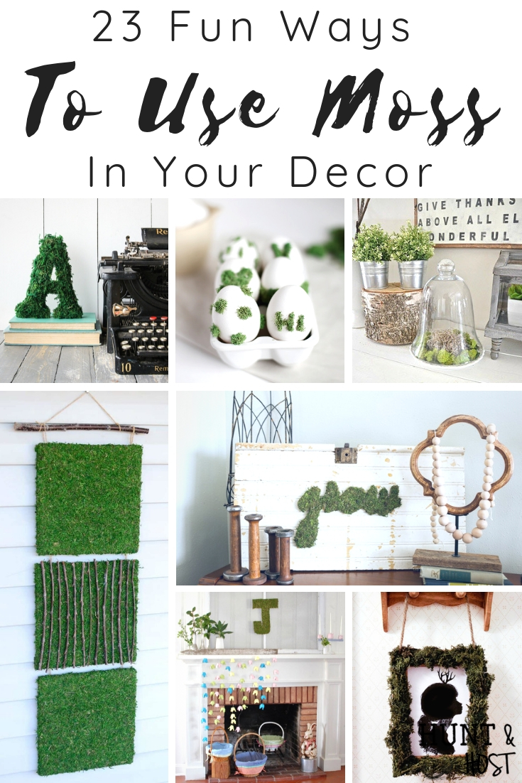 a collection of fun ways to use moss in our decor, these DIY moss craft ideas will give you a fresh start to decorating with new wall art, moss signs, moss pictures and many other easy moss tutorials. #mossdecor #mosstips #mosscraft #springdecor #dollarstorecraft #easyDIY #greenthumb