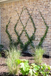 Add a gorgeous focal point to your landscape by adding this diamond patterned wire trellis to your yard. Easy DIY wire trellis you can complete in an afternoon along with a trellis plant selection idea list! #tellis #gardentip #DIYlandscape #trellisplants #englishgarden