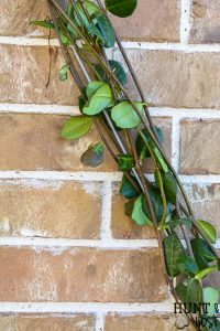 Add a gorgeous focal point to your landscape by adding this diamond patterned wire trellis to your yard. Easy DIY wire trellis you can complete in an afternoon along with a trellis plant selection idea list! #tellis #gardentip #DIYlandscape #trellisplants #englishgarden