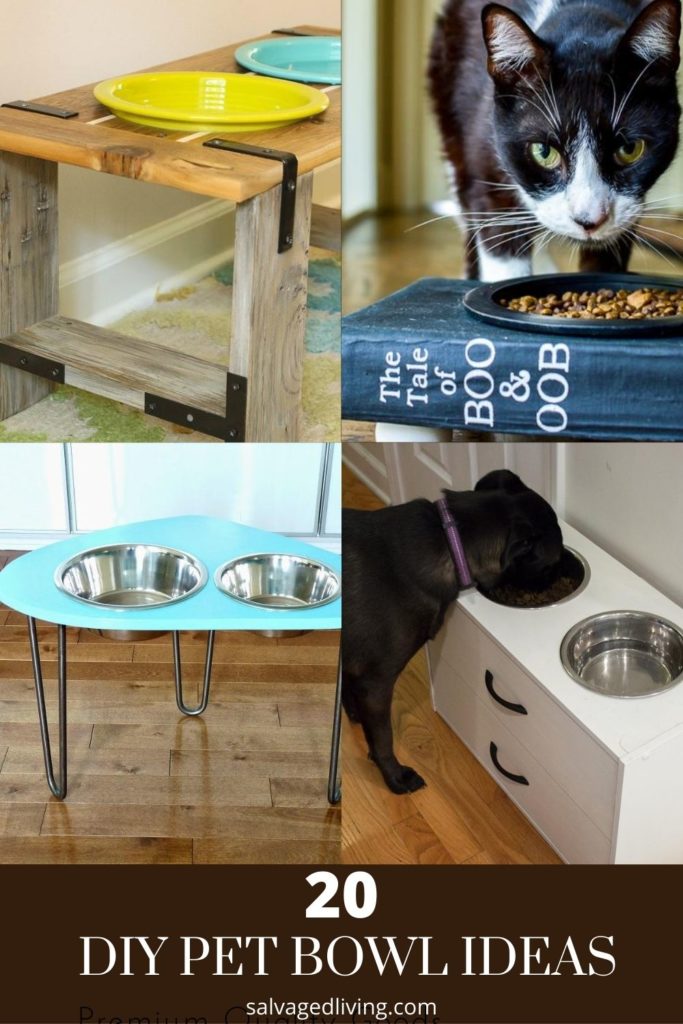 diy pet bowl ideas