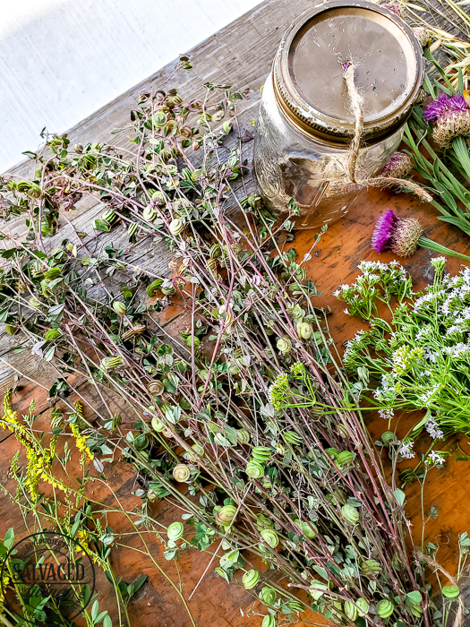 The perfect plant drying rack for your patio. If you want a French country feel on your porch then a vintage baby mattress spring is the best idea! Maybe you can even use it for a herb drying rack if you are a foodie! #herbdryingrack #diydryingrack #wildflowers #herbdrying #cozyporch #porchquilt