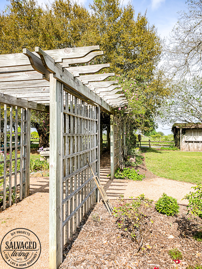 Take tour through the Antique Rose Emporium in Brenham, Texas and see the lovely gardens, wedding venue and inspirational views right here! #antiquerose #botaicalgarden #texasroadtrip #roundtop #roadtrip #daytrip #rosegarden