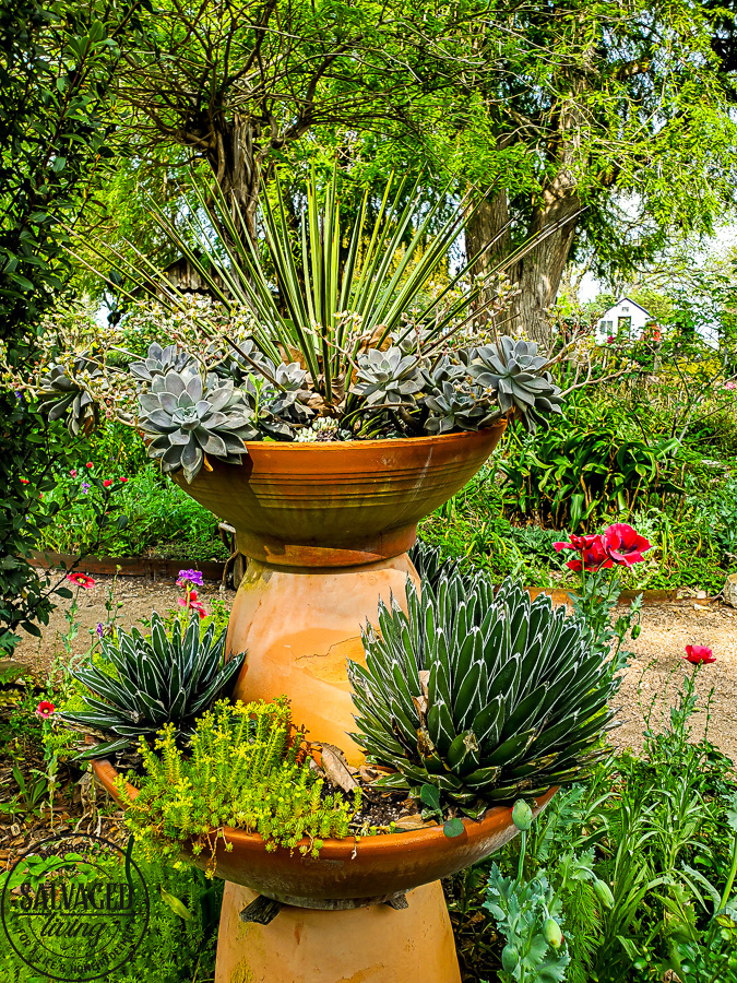 Take tour through the Antique Rose Emporium in Brenham, Texas and see the lovely gardens, wedding venue and inspirational views right here! #antiquerose #botaicalgarden #texasroadtrip #roundtop #roadtrip #daytrip #rosegarden