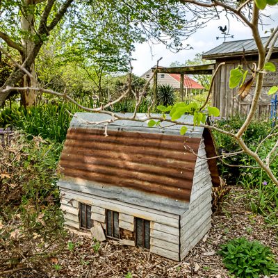 Visit The Antique Rose Emporium in Brenham Texas