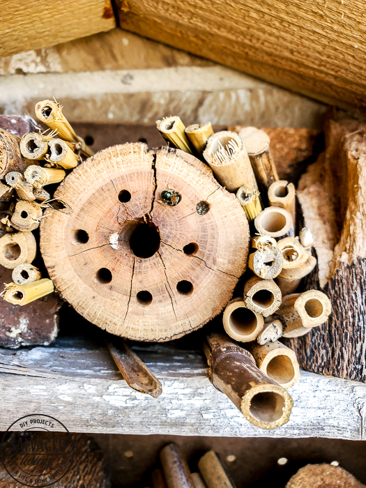 How to build a DIY bug house from scrap wood, perfect for a summer project with kids. Invite good bugs into your garden with this bug hotel, you will soon find solitary bees and insects taking up residence in your yard. #bughouse #savethebees #goodbugs #scrapwood #buildlikeagirl #gardenart #gardenproject #naturalgardencare