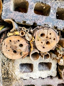 How to build a DIY bug house from scrap wood, perfect for a summer project with kids. Invite good bugs into your garden with this bug hotel, you will soon find solitary bees and insects taking up residence in your yard. #bughouse #savethebees #goodbugs #scrapwood #buildlikeagirl #gardenart #gardenproject #naturalgardencare
