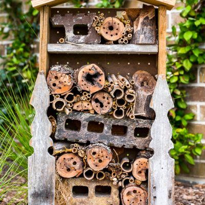 DIY Bug House Scrap Wood Project