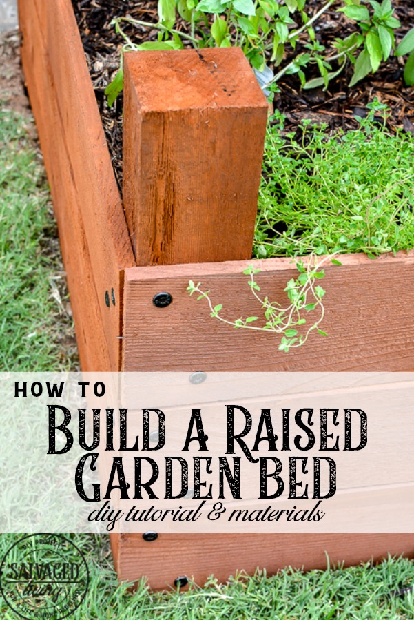 This DIY raised garden bed tutorial will give you step by step instructions on how to build a raised garden for your yard. If you have rock for soil, small living space or just want a movable garden this garden box is perfect for you. #raisedgarden #DIYwoodworking #gardening #flowergarden #vinatgegarden #raisedvegetablegarden #raisedflowerbeds #gardenideas