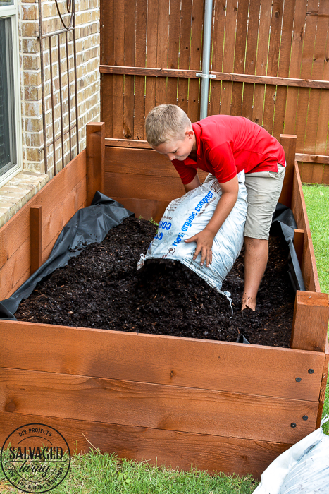 Learn how to spray stain on wood along with tips on how to clean your srpayer when you spray an oil based stain. HINT: it is so much easier than you think! This DIY raised garden bed got a spray stain that will help the wood look good and last longer and it only took minutes to do,. #wagnerspraytech #spraystain #oilbasedstain #paintcleanup #sprayertips #stainedwood #flowergarden #vegetablegarden #raisedbed #landscapedecor #fencestain #diyfencestain