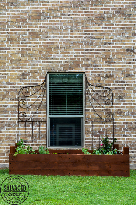 Learn how to spray stain on wood along with tips on how to clean your sprayer when you spray an oil based stain. HINT: it is so much easier than you think! This DIY raised garden bed got a spray stain that will help the wood look good and last longer and it only took minutes to do,. #wagnerspraytech #spraystain #oilbasedstain #paintcleanup #sprayertips #stainedwood #flowergarden #vegetablegarden #raisedbed #landscapedecor #fencestain #diyfencestain