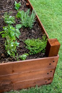 Learn how to spray stain on wood along with tips on how to clean your srpayer when you spray an oil based stain. HINT: it is so much easier than you think! This DIY raised garden bed got a spray stain that will help the wood look good and last longer and it only took minutes to do,. #wagnerspraytech #spraystain #oilbasedstain #paintcleanup #sprayertips #stainedwood #flowergarden #vegetablegarden #raisedbed #landscapedecor #fencestain #diyfencestain