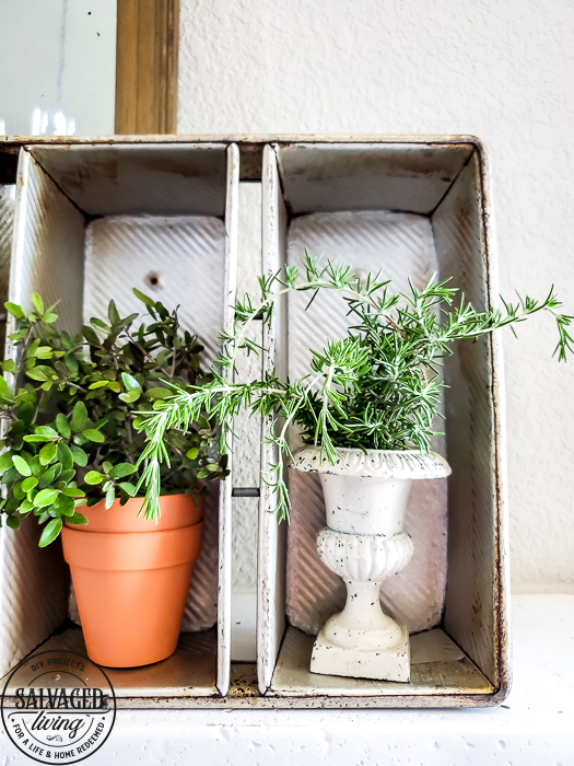 Quick garden mantel for any budget, perfect for a vintage style home in the summer or any time of year. #vintagedesign #summermantel #manteldecor #airplant #plantlady #vintagebreadpan