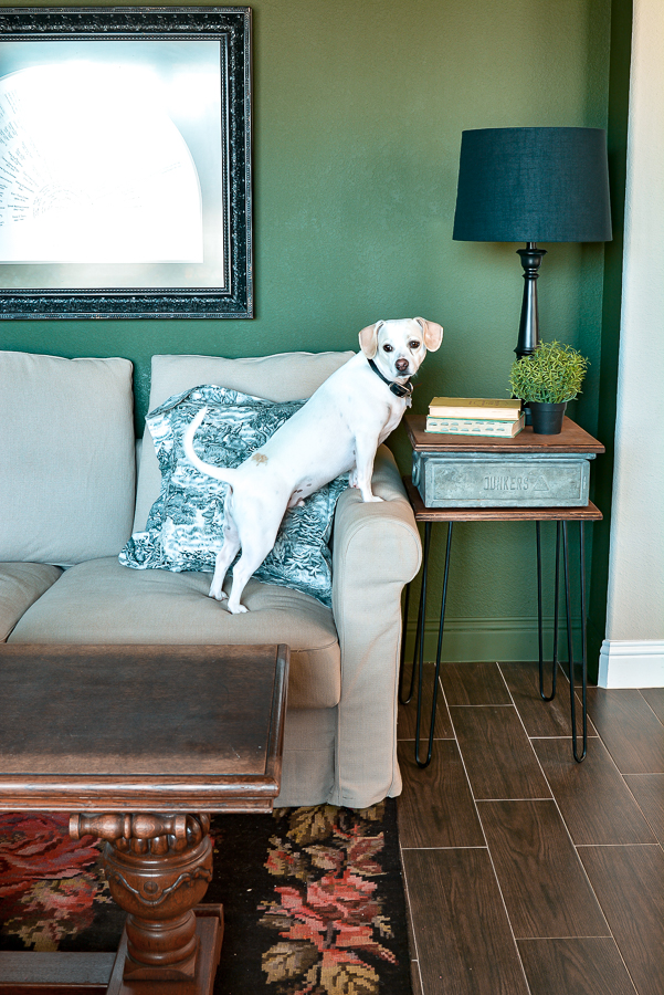 DIY hairpin legs table made from thrifted metal and wood. If you are a junk lover this is a great idea to turm your junk finds into DIY furniture. Adding hairpin legs to your vintage finds is an easy DIY furniture projrct you can complete in an afternoon. Source guide included! #handmadefurniture #thriftedfurniture #sidetable #DIYtableidea