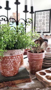 DIY painted terracotta pot idea for cute and easy rustic home decor. This new terra cotta planter goes to shabby chic instantly with this bubble wrap painting hack! Perfecr for spring decorating or a cuteorganization idea, making over a terracotta pot is so simple! #bubblewrap #burlapprojectidea #springplanter #rusticdecor