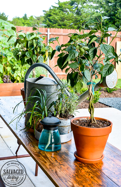 Don't toss your old wood patio furniture if it is weathered and worn! Refinishing wood patio furniture tips are here for you to make your wood patio furniture look like new. #porchdecor #woodrefinishing #furnituremakeover