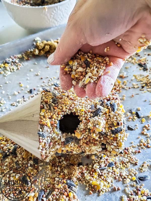 This edible glue is easy to make and use to decorate bird seed birdhouses or bundt pan suets. Make beautiful yard art that the birds will love and make your yard a wildlife wonderland! #birdfeeder #decorativebirdhouse #feedthebirds