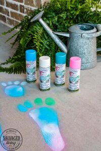Make DIY Easter Bunny tracks your friends and family will love for your Easter decorating. These are perfect proof that Peter Rabbit hopped on by this Easter. Testors Spray Chalk is perfect to create a washable bunny trail. Use this spray chalk on concrete, snow, glass, dirt, vinyl siding, asphalt, pavers and more. Rinse off with water and enjoy a creative and colorful Easter outdoors! #spraychalk #testors #testorsspraychalk #easter #easterbunny #eastersunday #happyeaster #sponsored