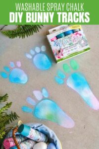 bunny tracks on sidewalk