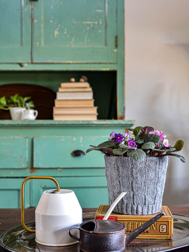 cropped-dolar-store-pot-to-woven-pot-makeover-with-stone-spray-4.jpg