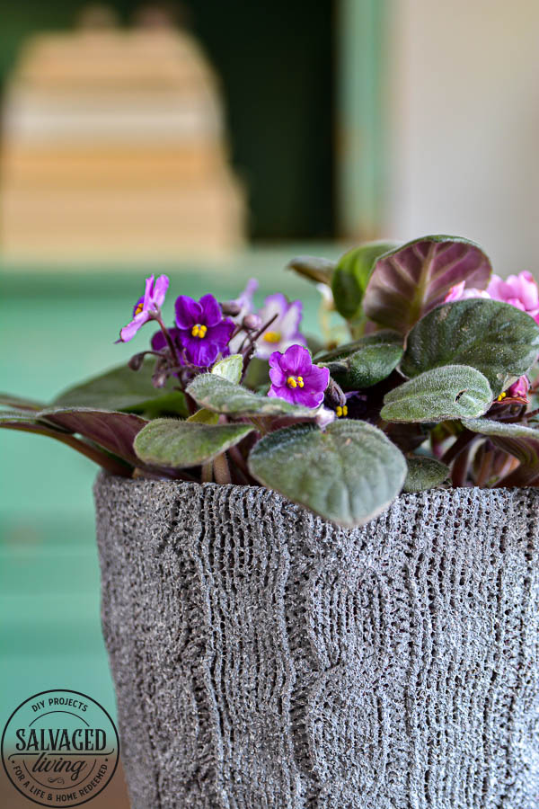 Wonder what to do with an old sweater? Try this upcycled sweater and dollar store pot makeover. You won't believe how cute this project turned out! Perfect for a Mother's Day gift or cozy home decor. #DIYproject #mothersday #upcycle #springrefresh #mothersdaygift #pottery #sponsored