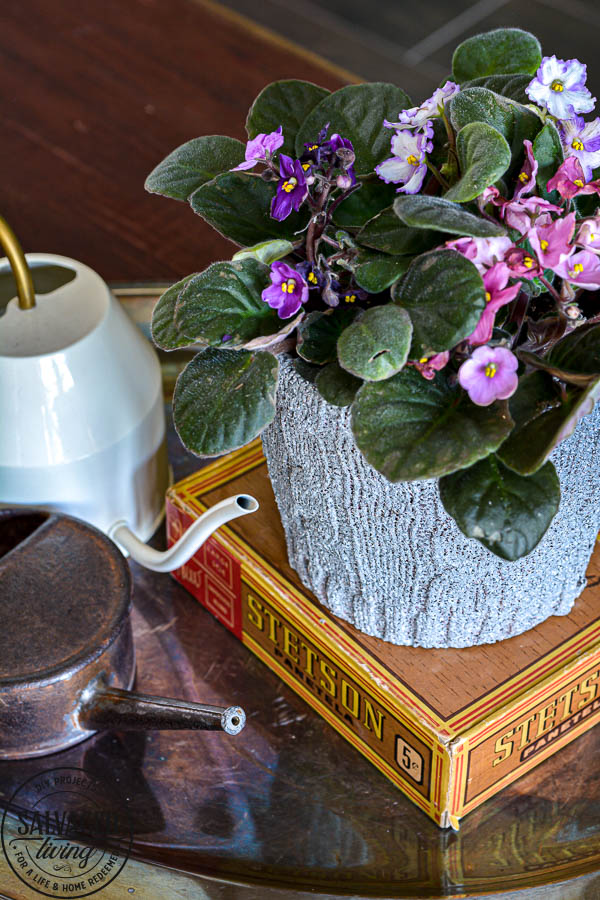 Wonder what to do with an old sweater? Try this upcycled sweater and dollar store pot makeover. You won't believe how cute this project turned out! Perfect for a Mother's Day gift or cozy home decor. #DIYproject #mothersday #upcycle #springrefresh #mothersdaygift #pottery #sponsored