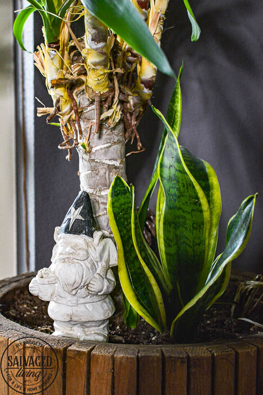 dollar store gnome makeover in plant
